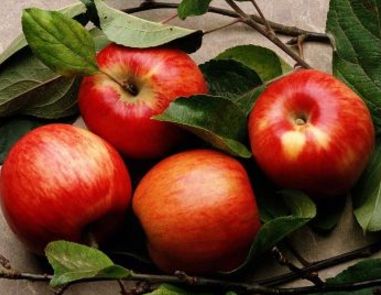 怎么吃苹果健康 吃苹果的最佳时间