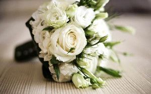 白玫瑰的花语是什么 白玫瑰有哪些传说