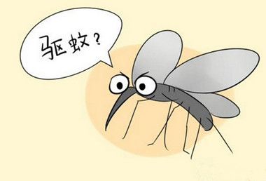 41.6℃蚊子被热死  怎么正确驱蚊止痒？