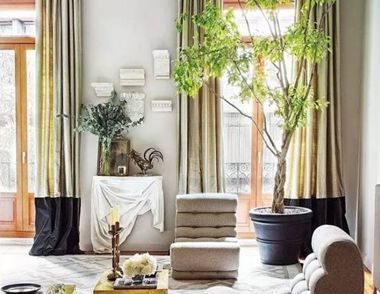 教你如何合理利用绿色植物布置装饰房间