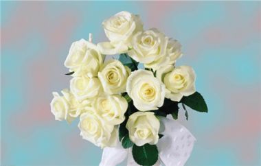 白玫瑰的花语揭秘 不同朵数白玫瑰代表着不同含义