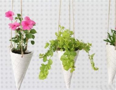 绿色有氧植物吊花盆怎么制作 植物吊花盆制作教程