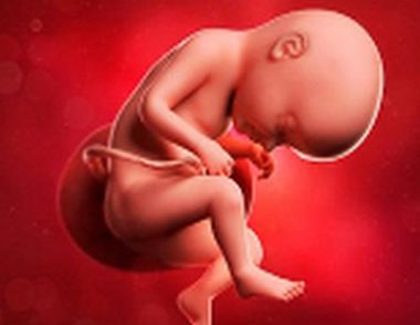 胎儿脐带要注意的问题 当心胎儿的脐带危机!