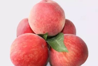 水蜜桃和毛桃的区别介绍  带你了解它们的营养价值