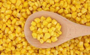 玉米的功效和作用   玉米的营养价值