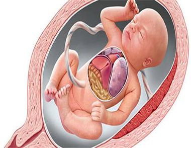 胎儿缺氧的原因有哪些？  胎儿缺氧的危害有哪些？