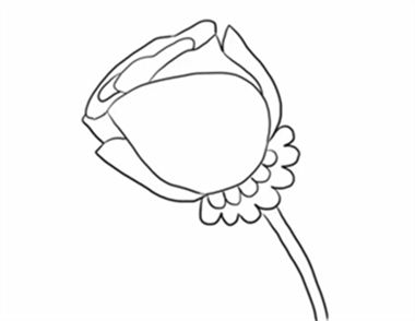 一朵好看的玫瑰花的简笔画该如何制作