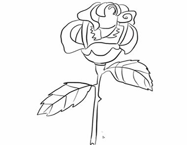 鲜艳漂亮的玫瑰花怎么画
