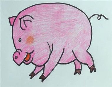 小猪简笔画图解教程