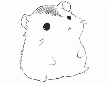 可爱的小仓鼠简笔画如何制作