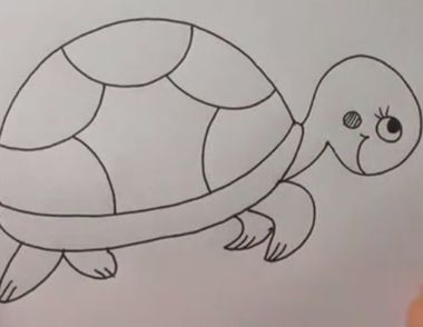 可爱小乌龟简笔画怎么画？