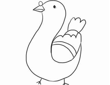 鸽子的简笔画教程 怎么画一只鸽子