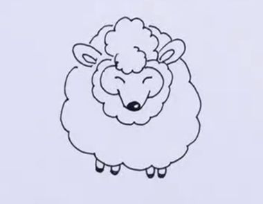小绵羊简笔画怎么画  小绵羊简笔画视频教程