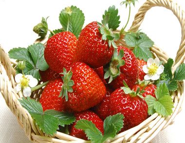 草莓的品种有哪些 吃草莓要注意什么