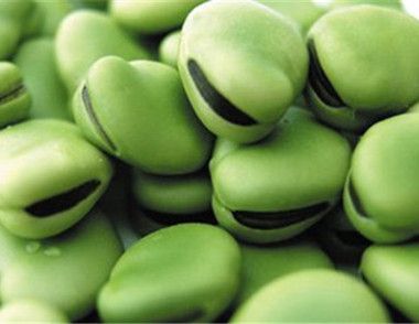 蚕豆含有那些营养 吃蚕豆有哪些好处
