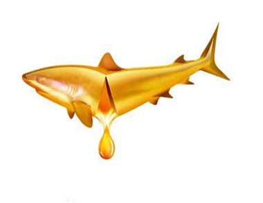 鱼油的功效和作用  鱼油和鱼肝油有什么区别