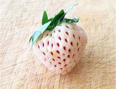 什么是菠萝莓​ 菠萝莓含有哪些营养