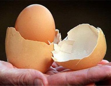 鸡蛋壳有哪些妙用 ​如何用鸡蛋壳做花肥