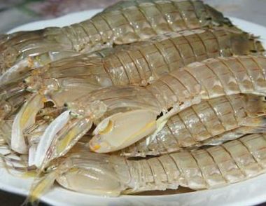 皮皮虾是什么   吃皮皮虾的好处有哪些