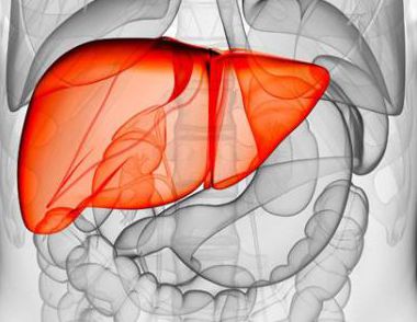 哪些行为会损伤肝脏   ​肝脏不好有哪些表现