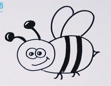 怎么画一只可爱卡通的蜜蜂 蜜蜂简笔画步骤