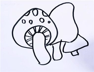 怎么画蘑菇简笔画 蘑菇简笔画教学