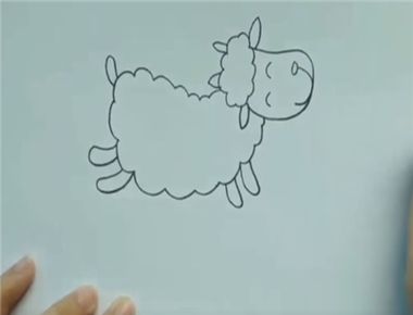 小绵羊简笔画怎么画 小绵羊简笔画画法