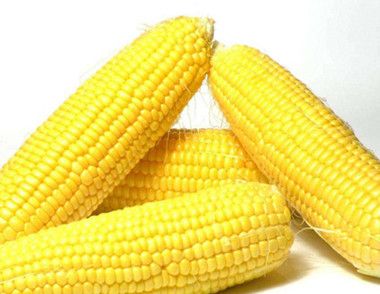 吃玉米能减肥吗 玉米须为什么可以降血糖