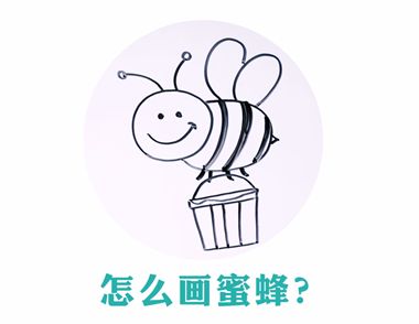 怎么画蜜蜂 小蜜蜂简笔画步骤