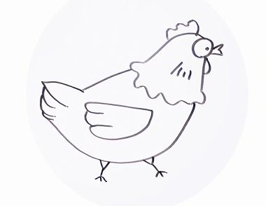 怎么画鸡 小母鸡简笔画步骤
