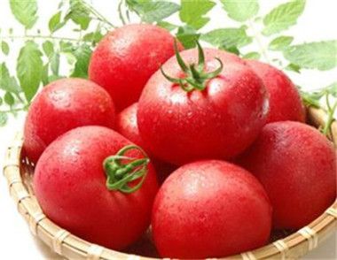 秋天吃西红柿要注意什么 吃西红柿的禁忌