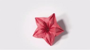 花的折纸方法简单易学