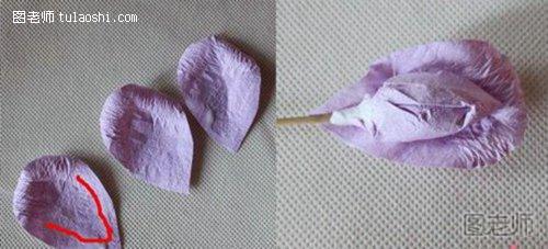 花瓣除瓣尖外的地方涂上胶水