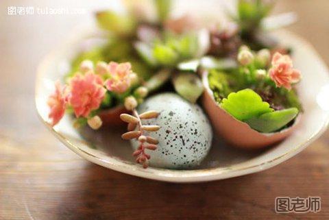 鸡蛋壳打造唯美绿色小盆栽6