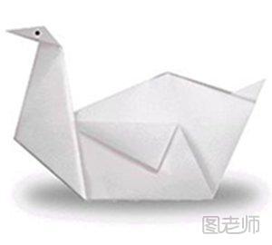 爱情,白天鹅,折纸,动物折纸,