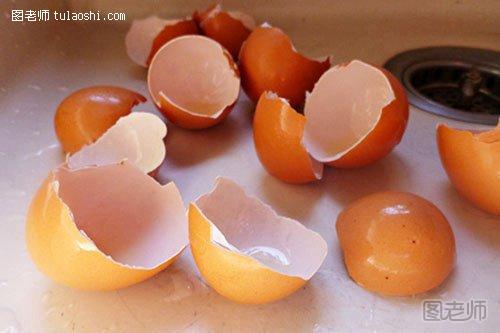 吃鸡蛋丢下的蛋壳