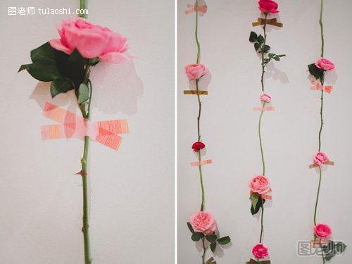 浪漫美丽的玫瑰花墙5