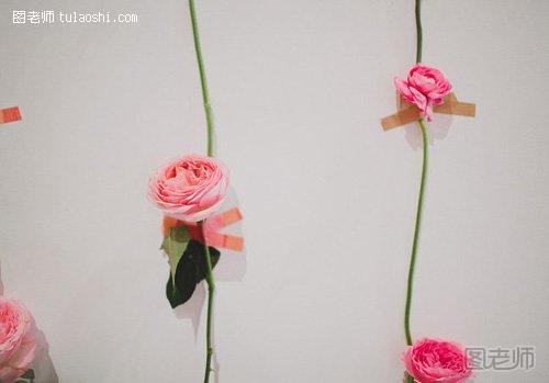 浪漫美丽的玫瑰花墙6