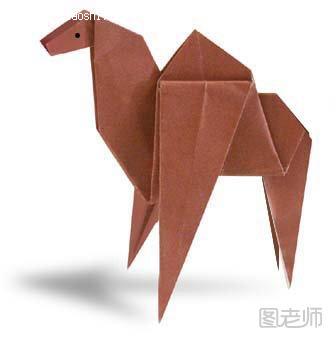 动物折纸 骆驼