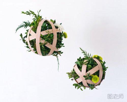DIY花藤植物装饰9