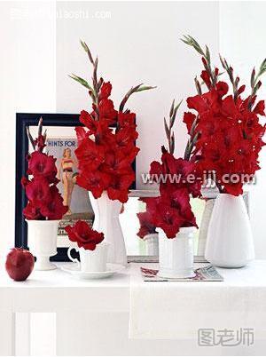 白色的陶瓷用具再加上大红色的花，显得异常夺目。大家可以尝试一下这些创意插花，关于色彩的搭配。