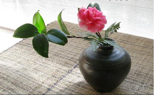 任何花都可以用来做插花，茶花也不例外，通过作品简单介绍一下茶花，让大家也能了解一下茶花。
