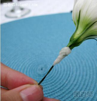 用棉花或者纸巾浸水后包裹花的根部。