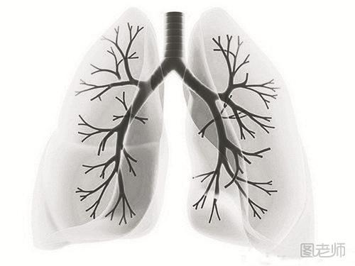 双肺纹理增多是什么