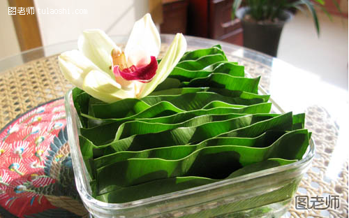 利用山苏叶的特点成局，再点上一朵兰花，使得这次的家庭插花简单且极具创意。