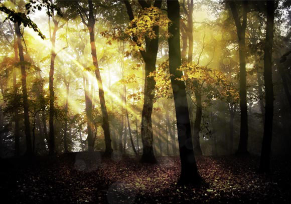 Photoshop给树林图片加上高清的投射光束