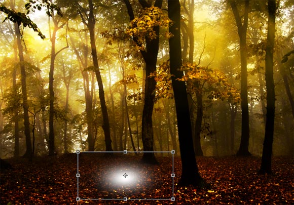 Photoshop给树林图片加上高清的投射光束