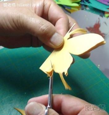步骤3:剪（形）---剪外轮廓，注意不要剪伤蝴蝶的触须和尾突等细小部