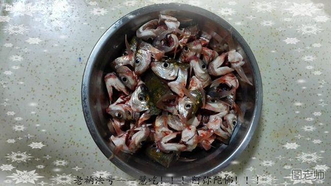 废塘商品饵料搭配钓鱼喜得意外鱼种