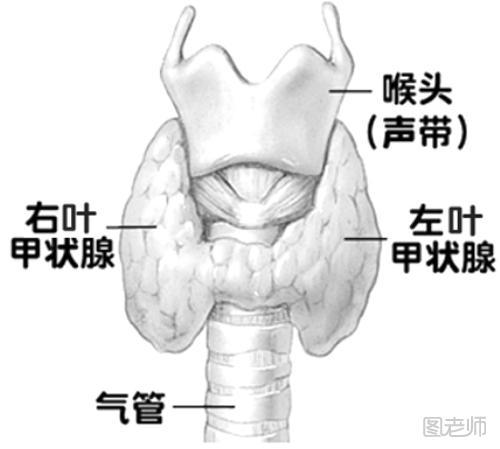 甲状腺结节钙化意义